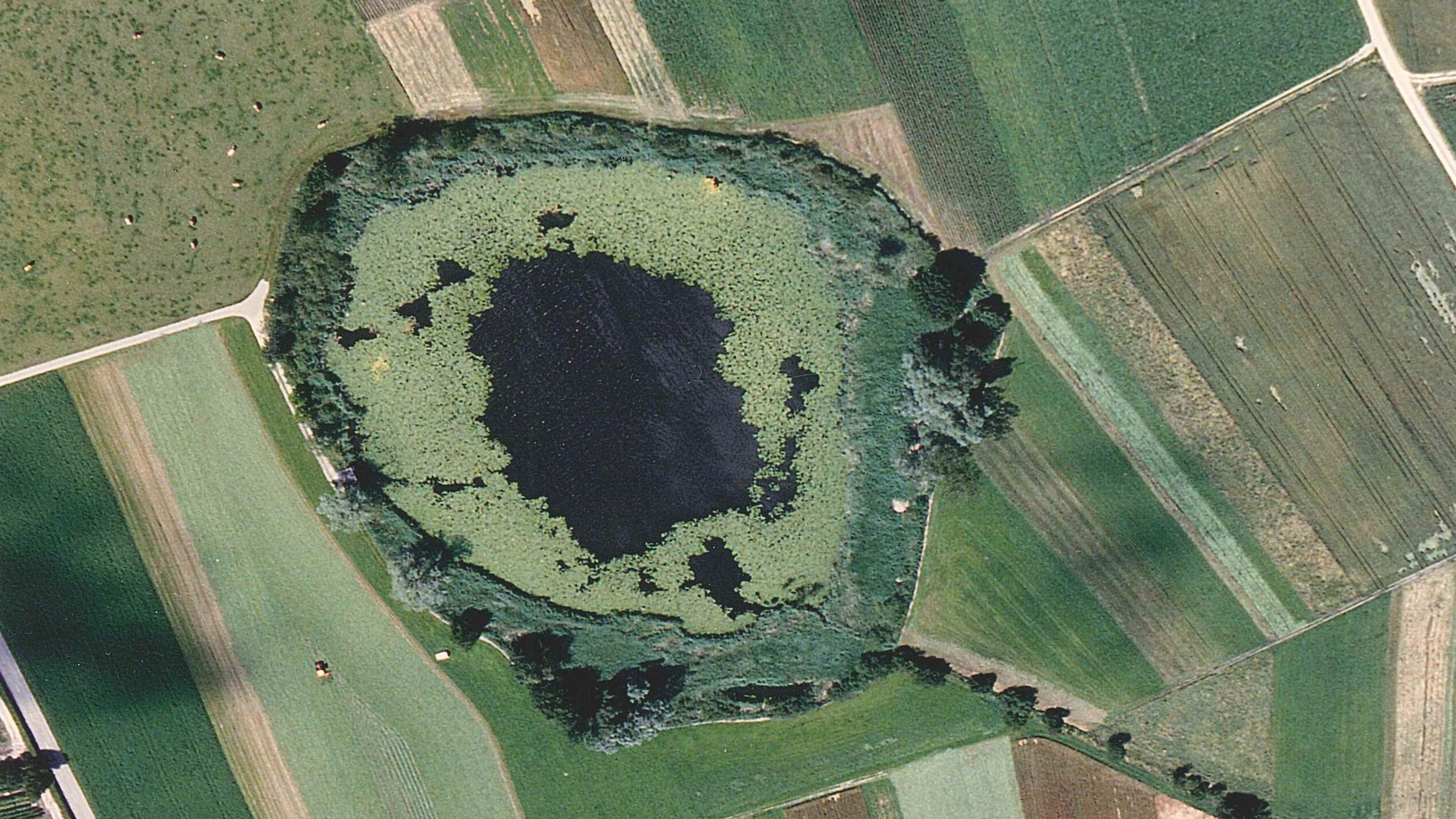 Luftaufnahme Lobsigensee