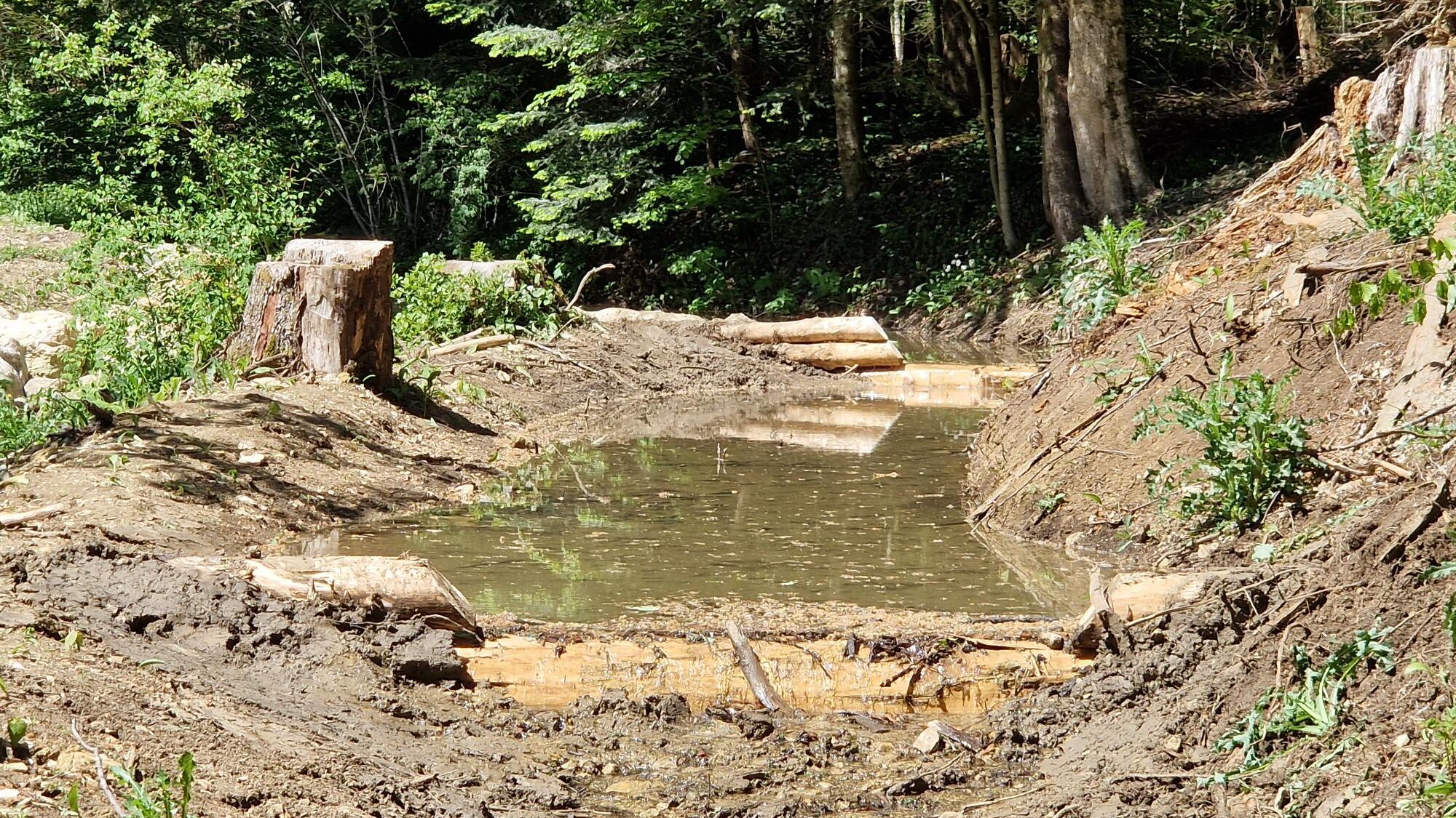Bereits umgesetzte Massnahmen sind die Schaffung eines Überlaufs im Hauptbachbett sowie der Rückbau einer Betonbrücke und einer Forststrasse, um den Wasserfluss durch den ehemaligen Auenwaldperimeter wieder zu aktivieren. Jürg Hunziker