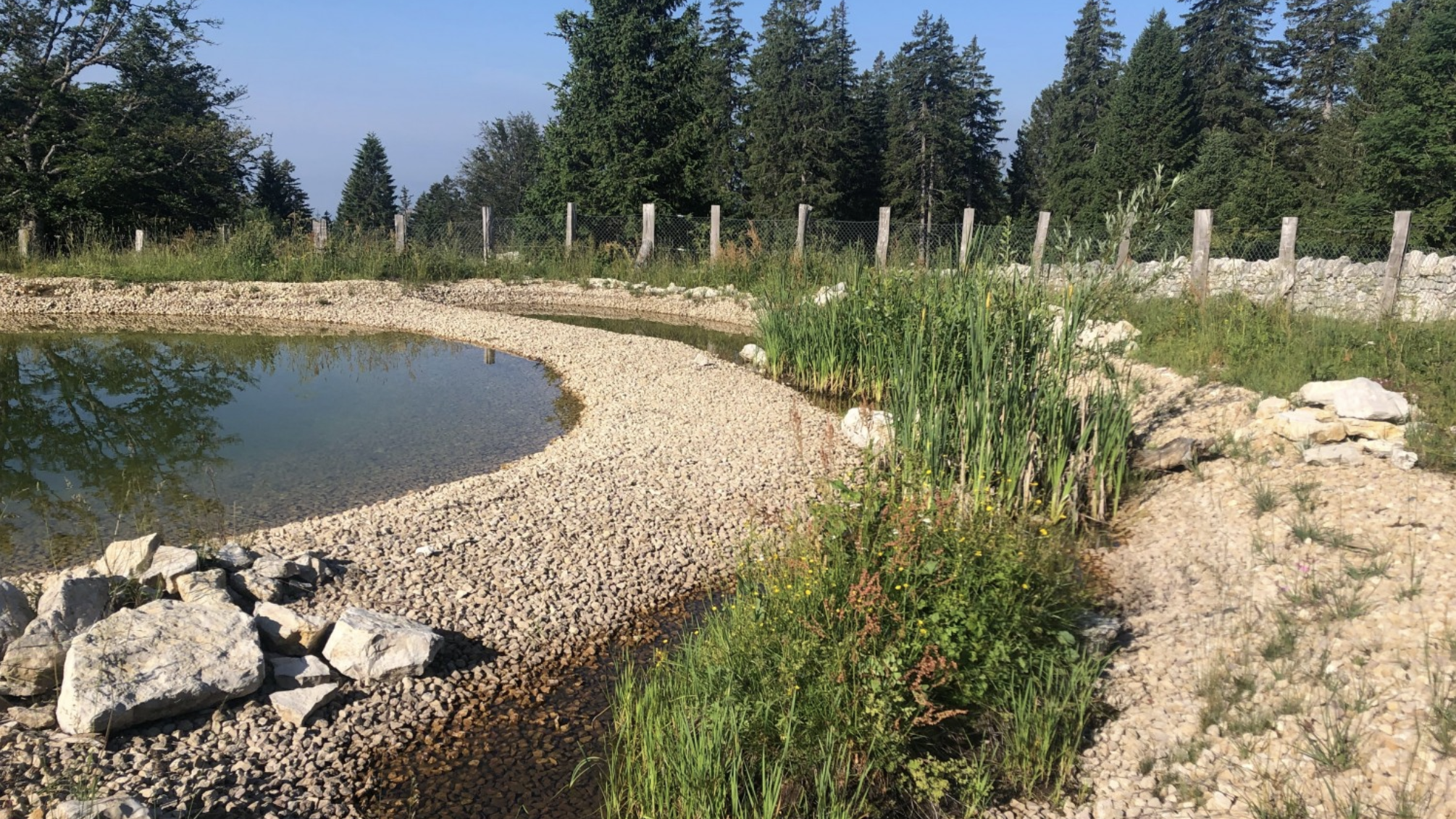 Agrarökologische Teiche mit Nebenbecken für Biodiversitätsförderung.