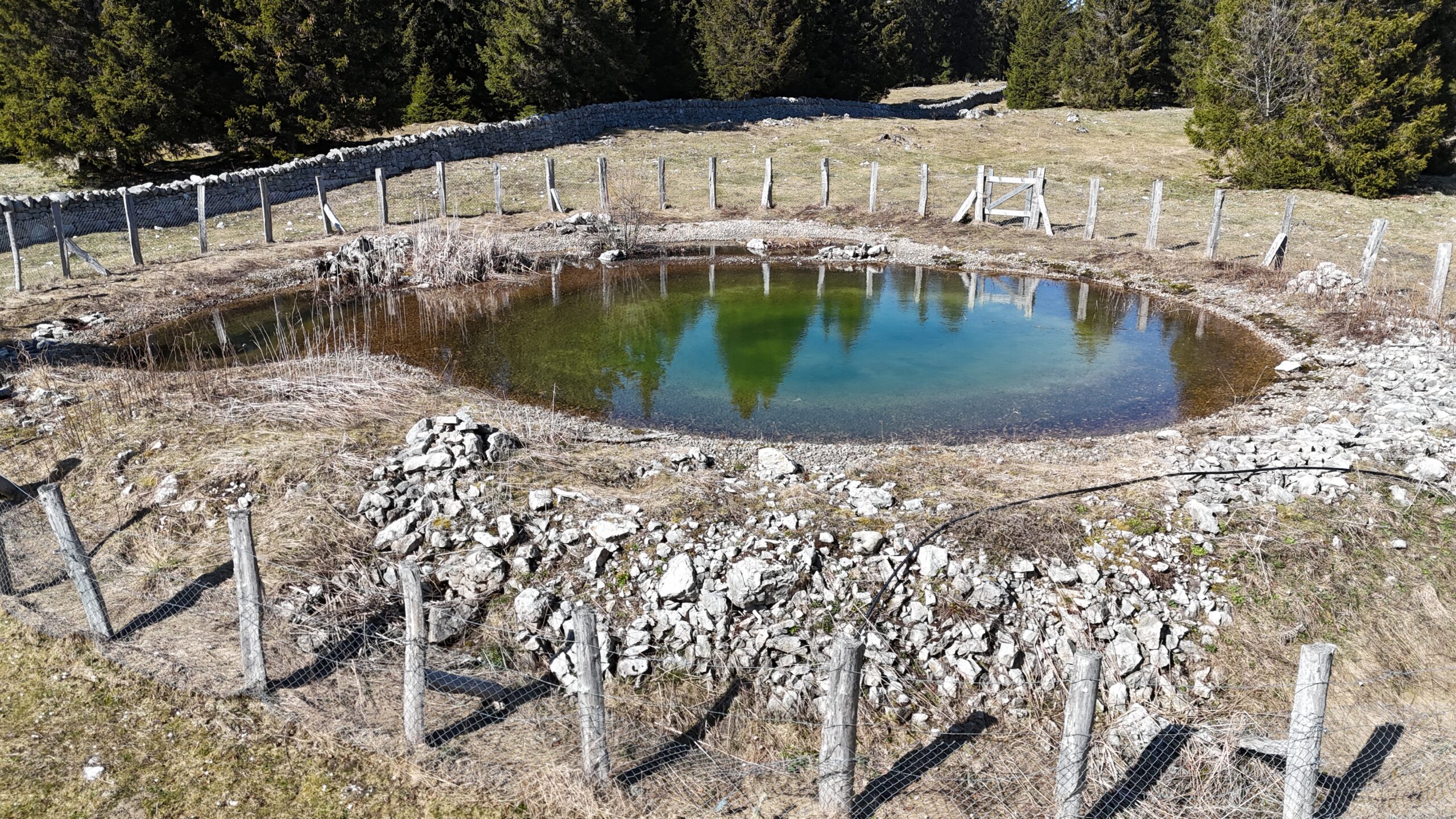 Agrarökologischer Teich @ParcJuraVaudois