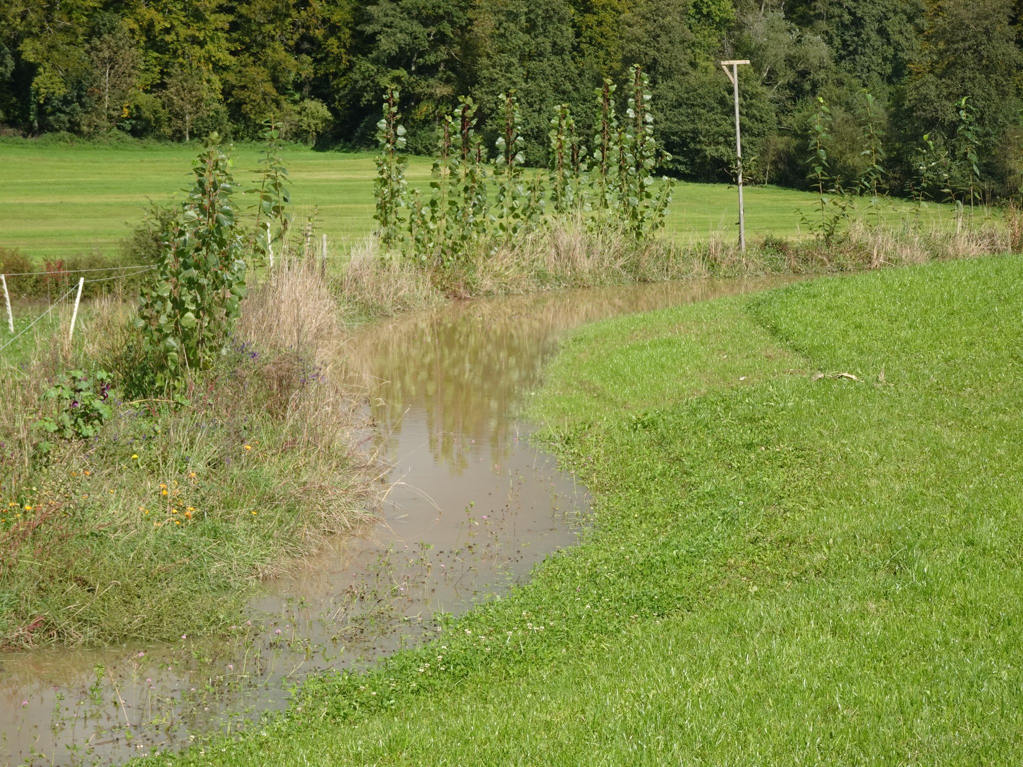 Keyline gefüllt mit Wasser @Gerbehof