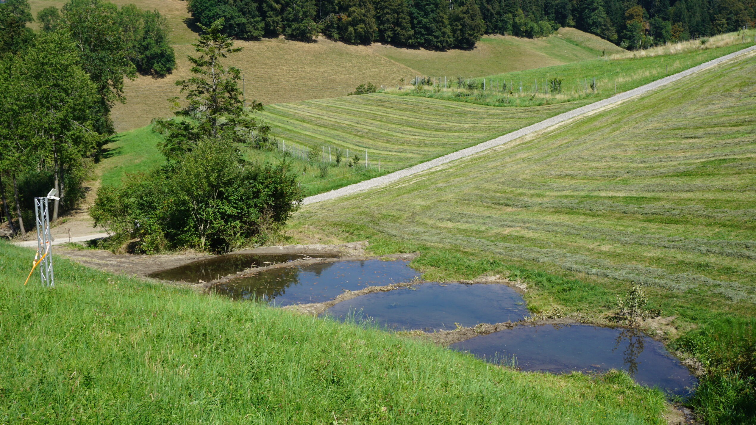 Uechtgraben
