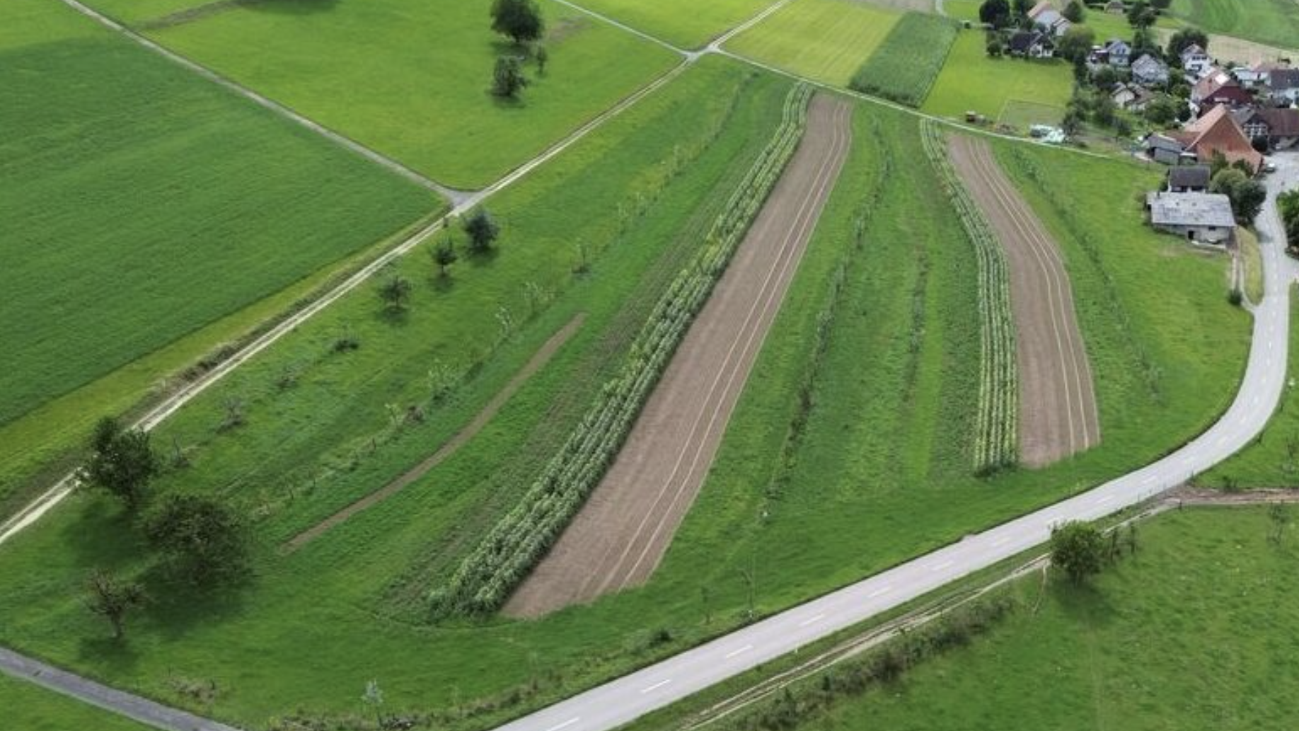 Drei Keyline verhindern den unkontrollierten Wasserabfluss und speichern es für trockene Zeiten @ChristophHauert @ChristophHauert