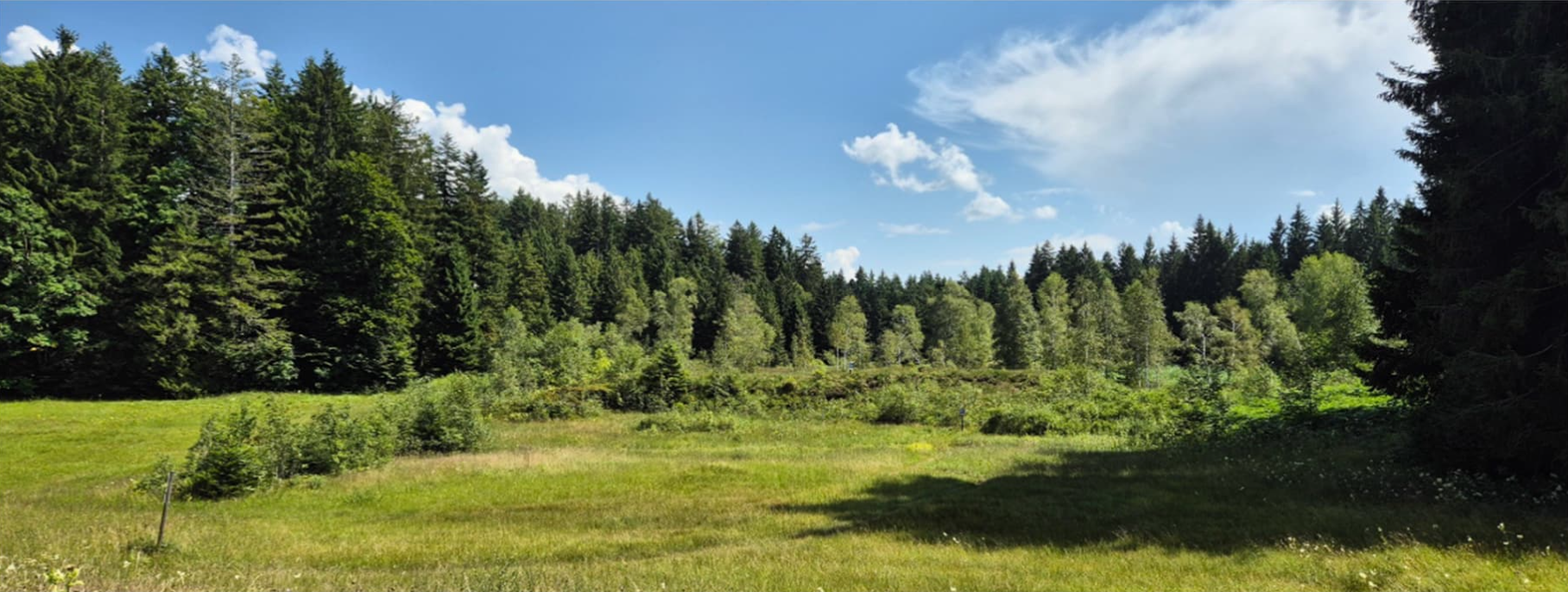 Hochmoor «Chellen» oberhalb Ebnat-Kappel @HunzikerBetatech