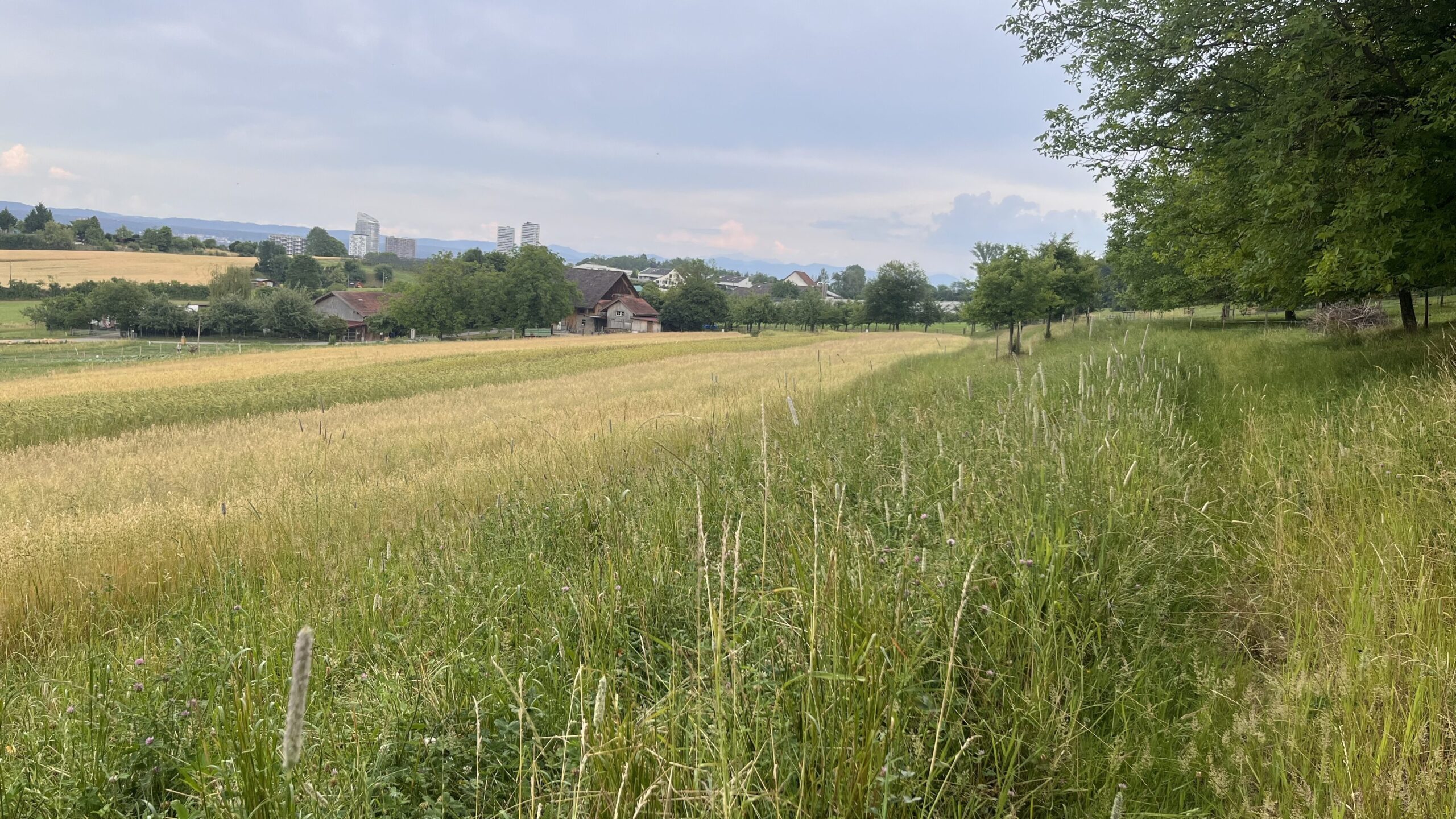 Überblick über die Flächen vom Huebhof in Schwamedingen