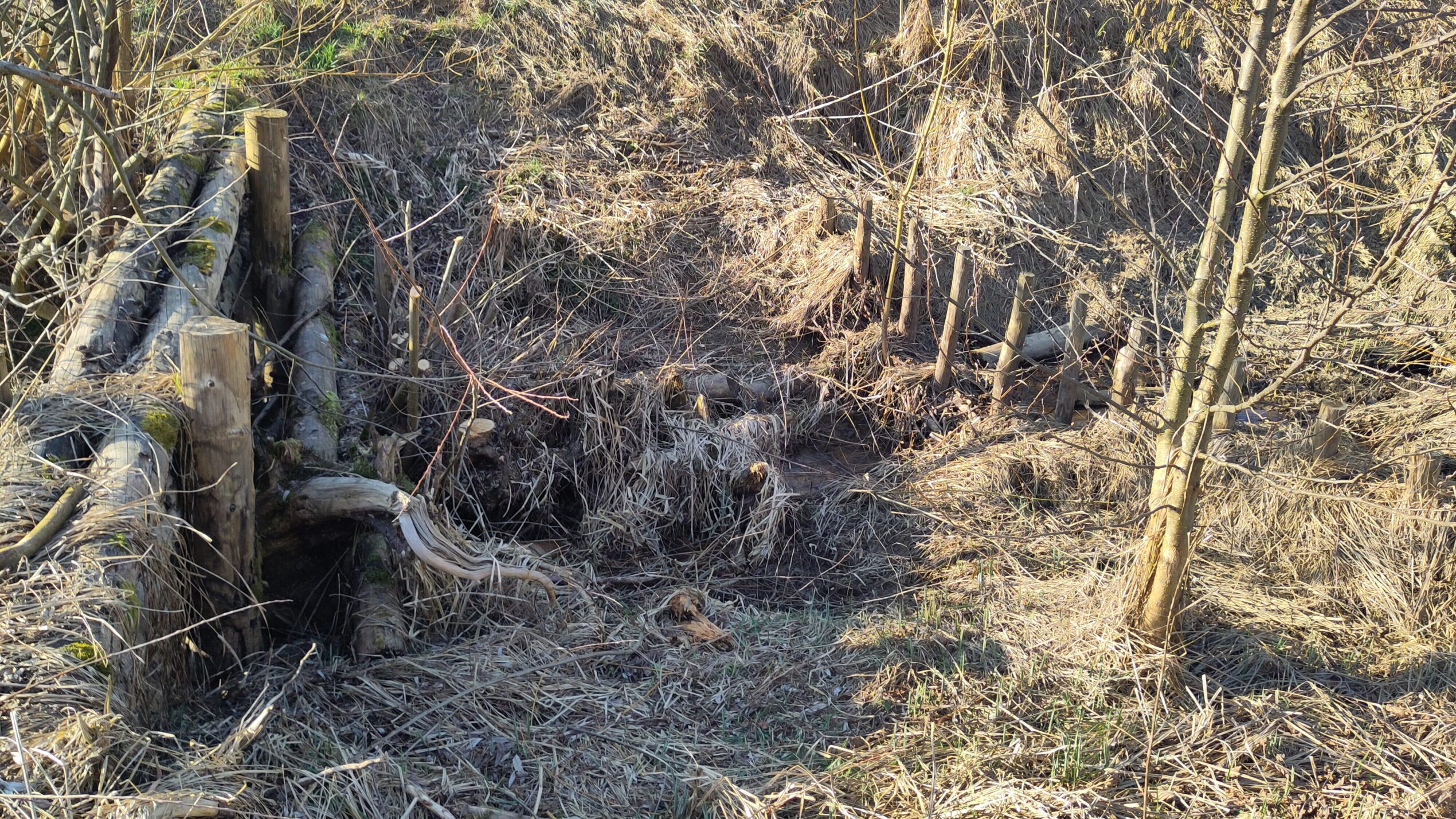 Bestand erste Generation Leaky Dams