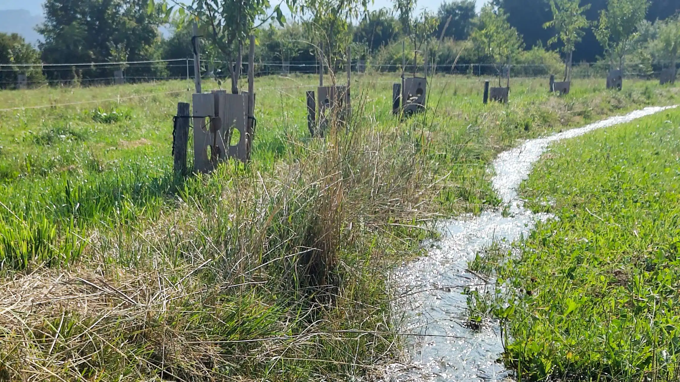 Katzhof Wassergraben fluten @MarkusSchwegler
