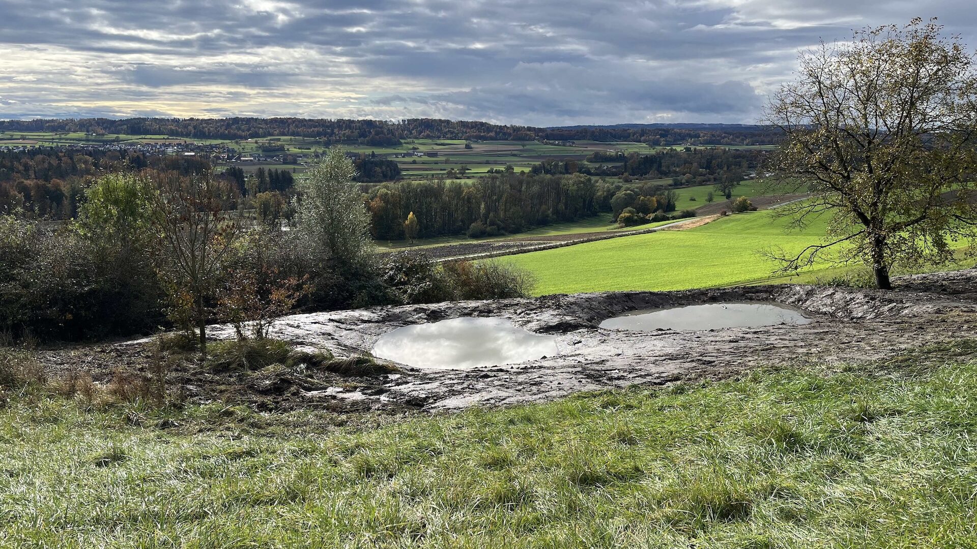 Brückenhabitat "Undere Chaltebrunne"