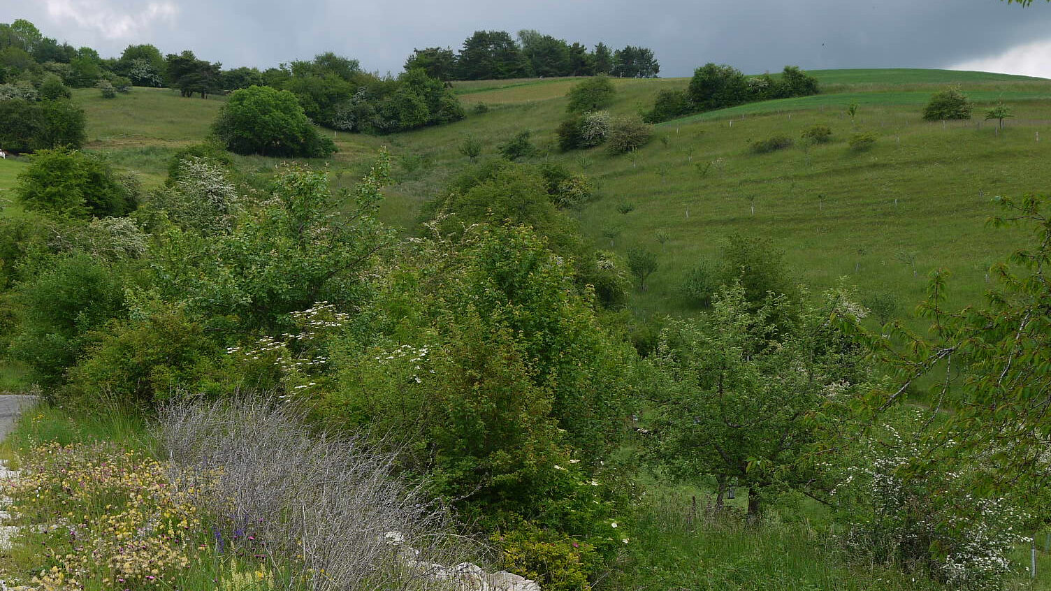 Naturschutzgebiet Chiibacke @PeterBraig