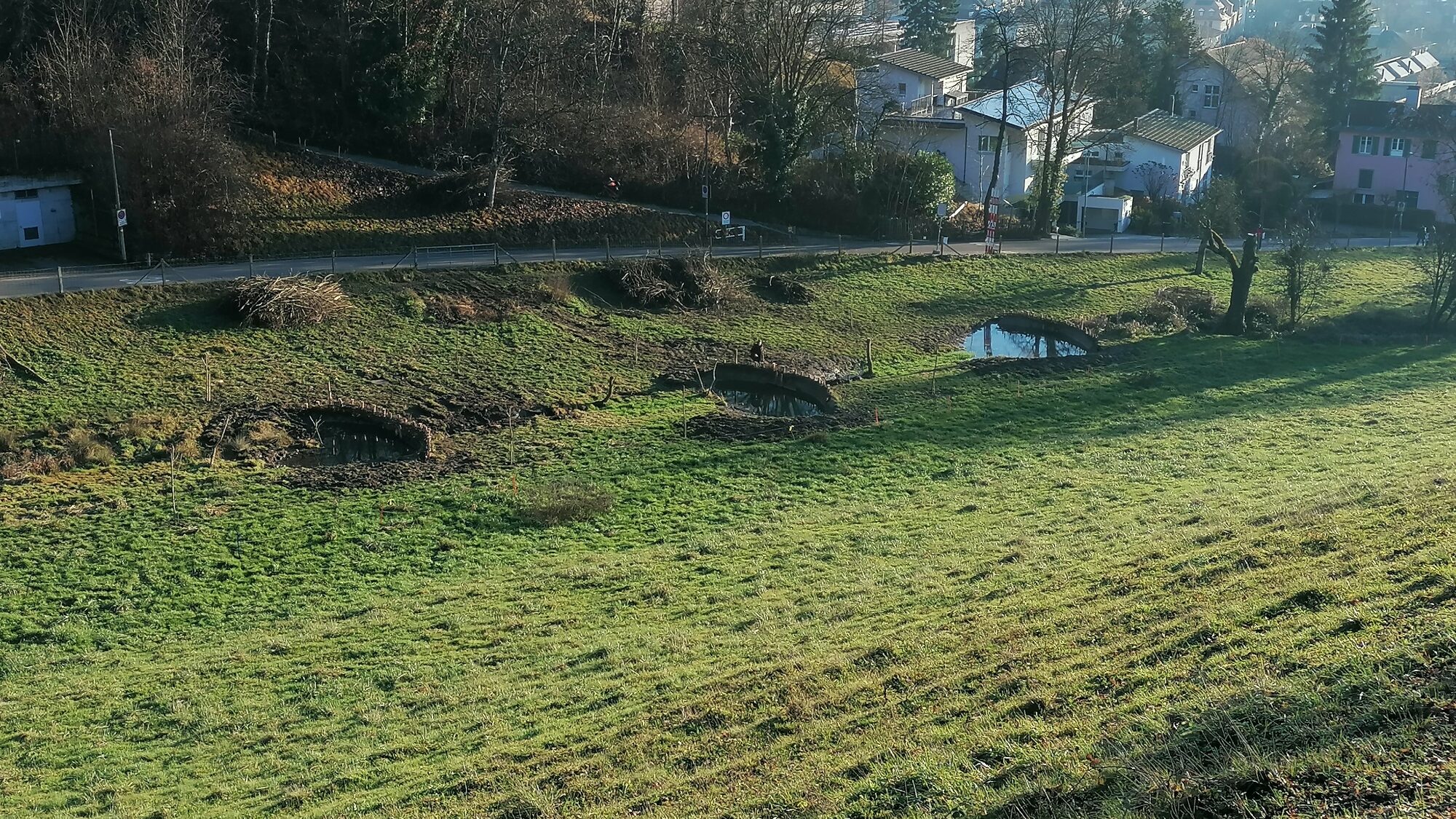 BDA im Tössertobel @HolingerAG