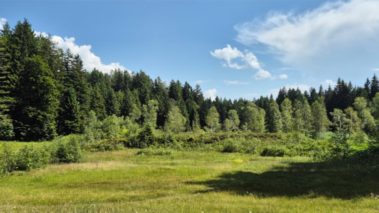 Hochmoor «Chellen» oberhalb Ebnat-Kappel @HunzikerBetatech