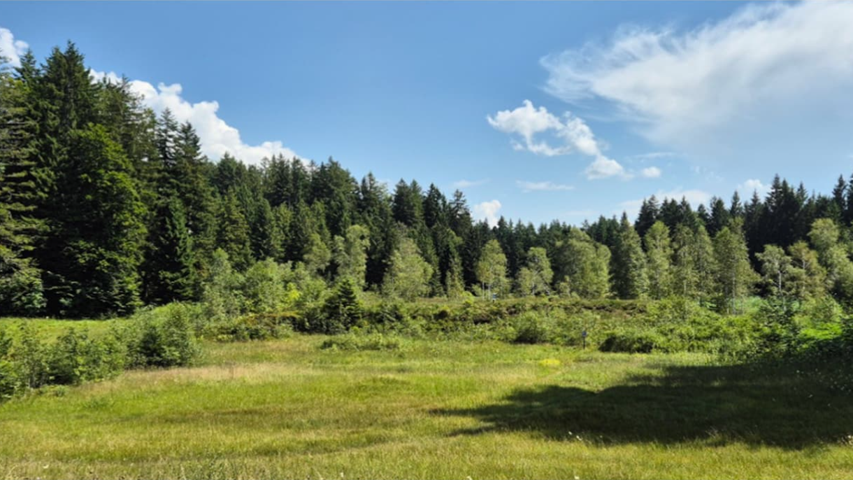 Hochmoor «Chellen» oberhalb Ebnat-Kappel @HunzikerBetatech