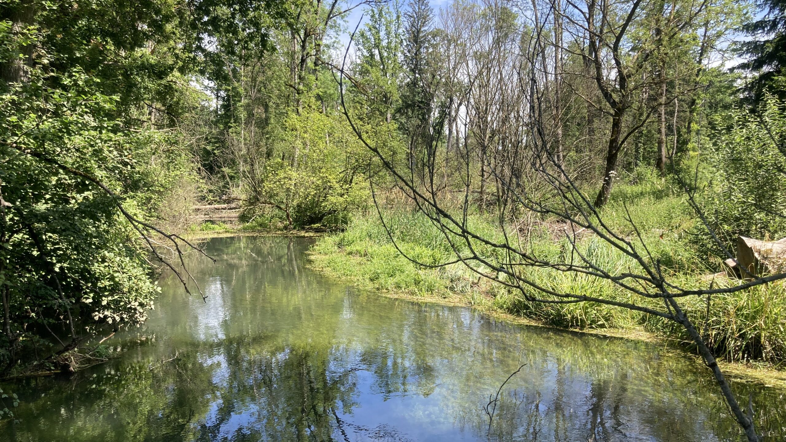 Hechtenloch