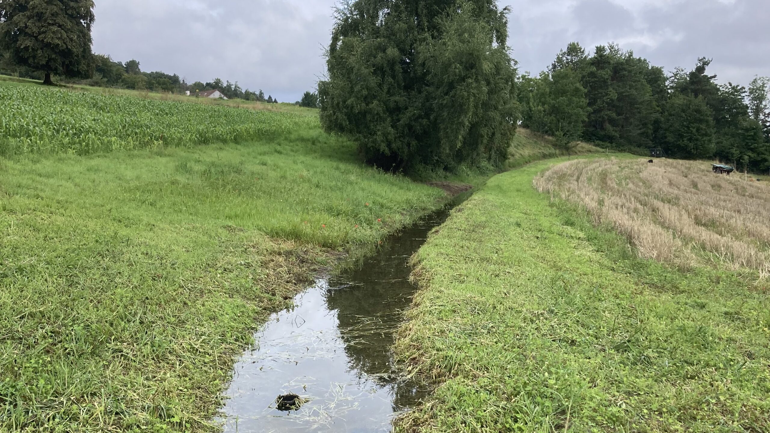 Keyline gefüllt mit Wasser @Huebhof