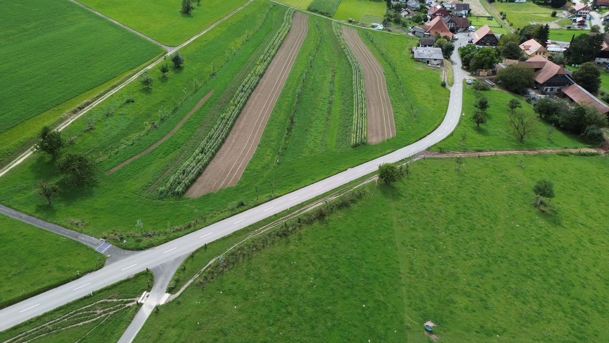 @Gerbehof